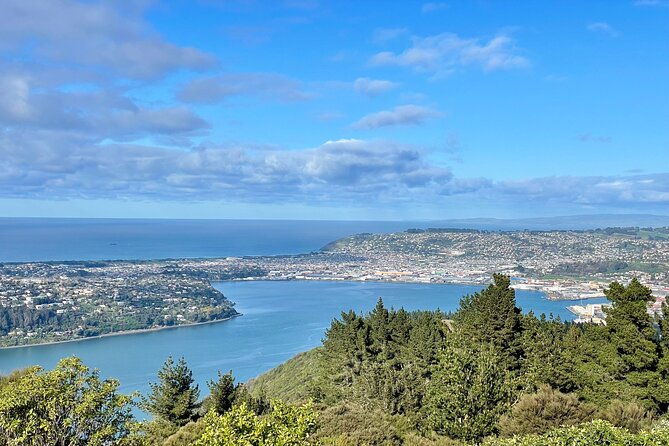 Private Dunedin & Otago Peninsula Day Tour Up to 4 - Signal Hill lookout: the fast way to understand Dunedin