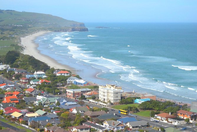 Private Guided Tour of Dunedin City Heritage and Unique Wildlife and Scenery - Quick hits before you go