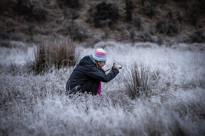 Private Half Day Photography Tour of Queenstown | Skippers | Glenorchy - What You Get Included, and How to Think About Meals