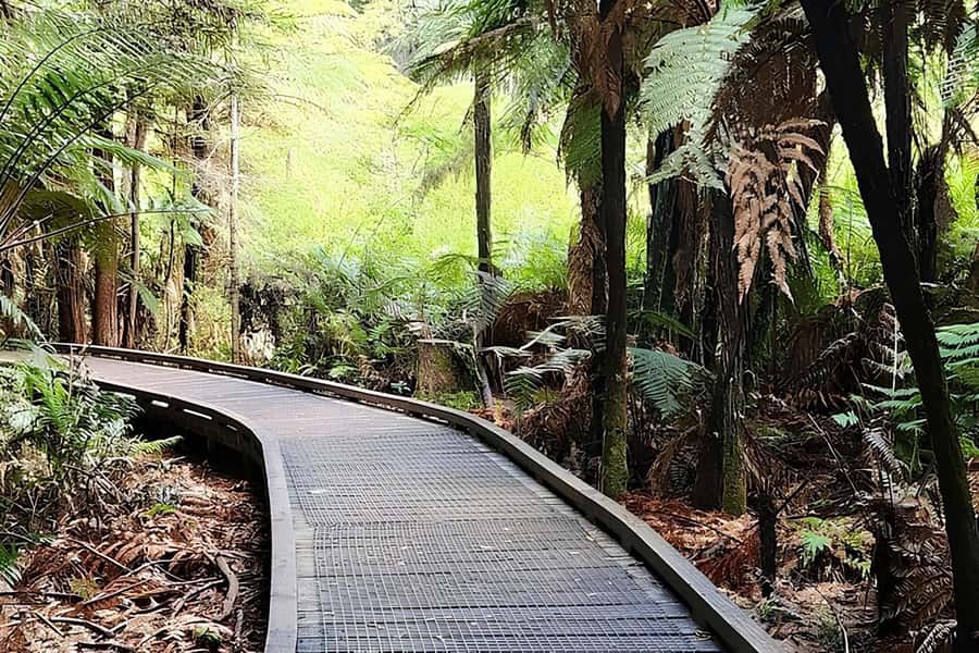 Private Hobbiton & BlueSprings & Redwood forest fromAuckland - Who This Tour Fits Best