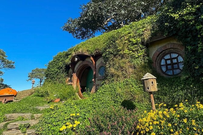 Private Hobbiton Movie Set and Rotorua Day Trip from Auckland - Te Puia Māori culture option: haka, poi, and a kiwi sanctuary visit