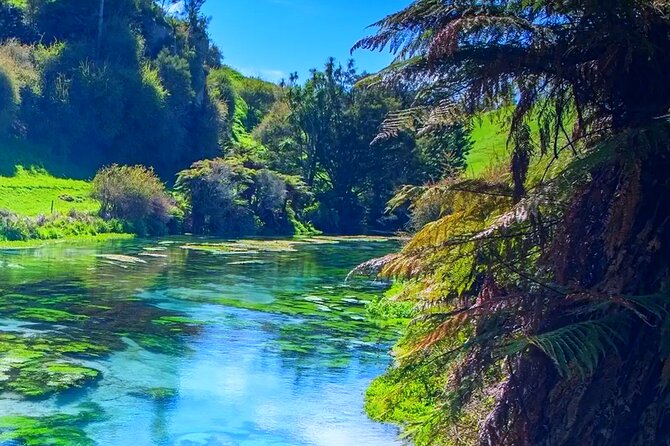 Private Hobbiton, Waitomo Caves, Blue Spring & Hamilton Transfer - How the day feels for different travelers