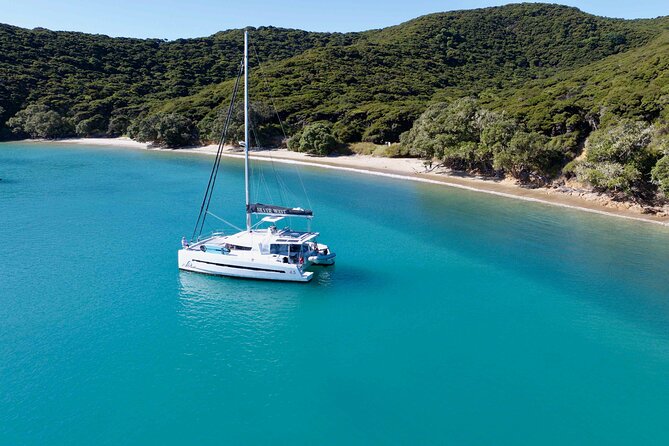 Private Luxury Sailing Catamaran Charter in the Bay of Islands - What’s included: gear that saves you time and hassle