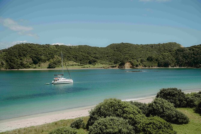 Private Luxury Sailing Catamaran Charter in the Bay of Islands - The Bay of Islands experience, with activities you can swap mid-day