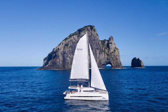 Private Luxury Sailing Catamaran Charter in the Bay of Islands - Wildlife and weather reality: what to expect when skies change