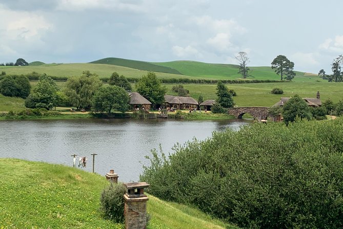 Private Luxury Tour to Hobbiton Movie Set & Waitimo Glowworm Cave - Waitomo Glowworm Caves: what makes Arachnocampa luminosa special