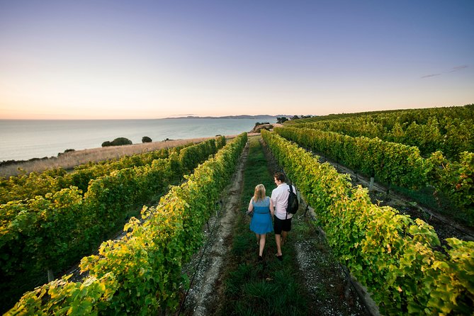 Private Marlborough Winery Tour - Key highlights that shape the whole experience