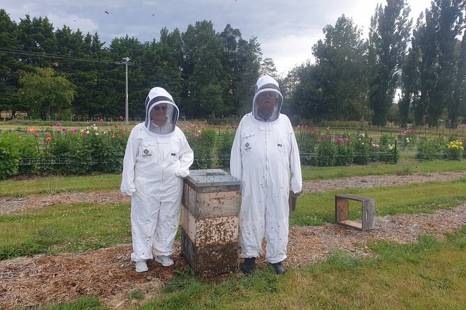 Private Martinborough Foodie Delights Tour from Wellington - Greytown Honey: suited up, then up close with a hive