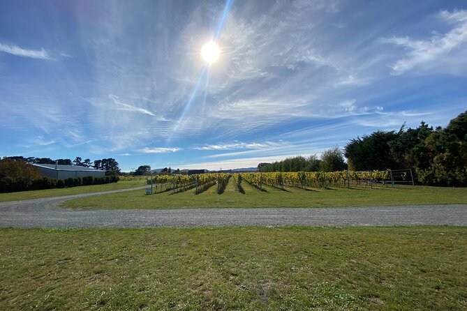 Private Martinborough Wine Tour for Wine Enthusiasts - Stop 2: Nga Waka Vineyard for current plus possible library wines