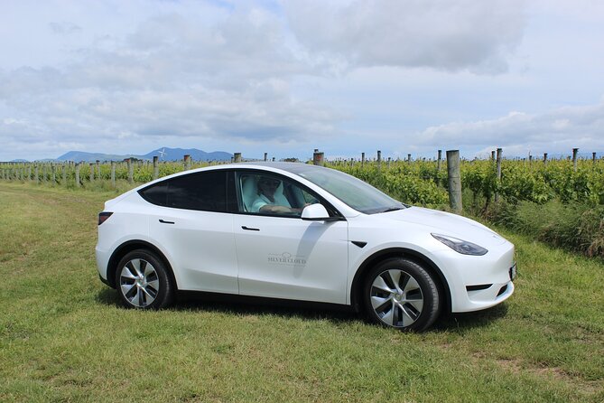 Private Martinborough Wine Tour in an Electric Vehicle - Tesla Model Y - Tesla Model Y comfort, HEPA air, and the right kind of pacing