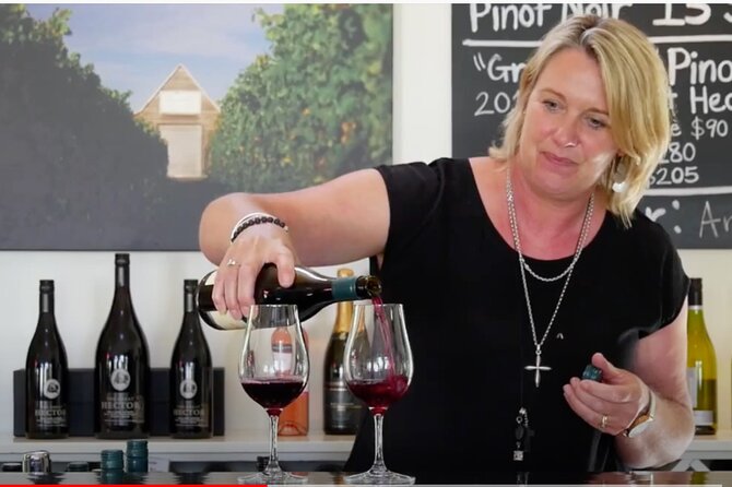 Private Martinborough Wine Tour in an Electric Vehicle - Tesla Model Y - Palliser Estate private tasting, and possible cellar time