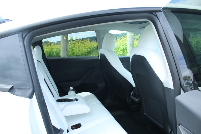 Private Martinborough Wine Tour in an Electric Vehicle - Tesla Model Y - Martinborough Wine Centre browsing time for bottles and gifts