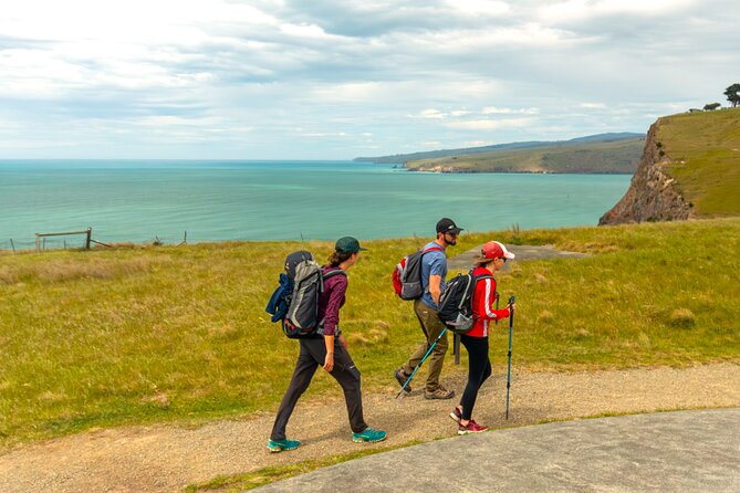 Private Mt Cook Day Tour From Christchurch via Lake Tekapo - Private transport details that actually matter on a long day