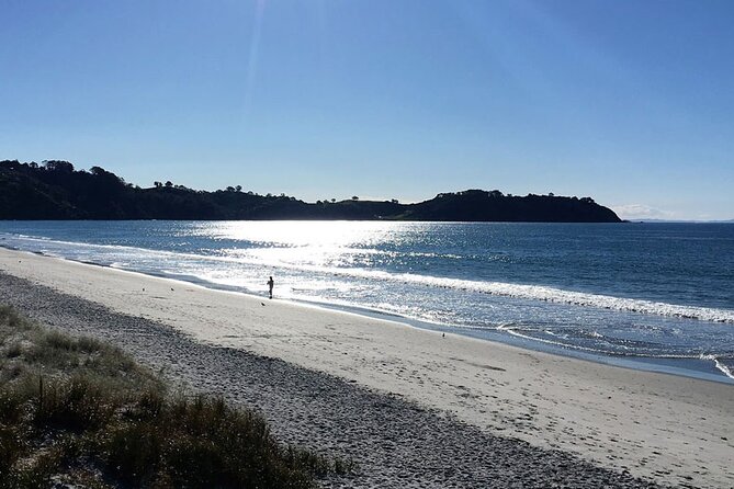 Private Personalised Tour in Waiheke Island - Lunch included: the simplest way to protect your day