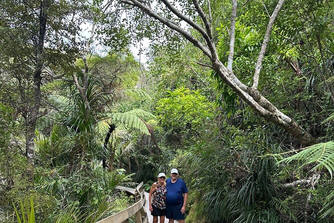 Private Piha Beach, Rainforest Adventure & Mt. Eden with Guide - Kitekite Falls rainforest walk: where the Waitākere greens show up