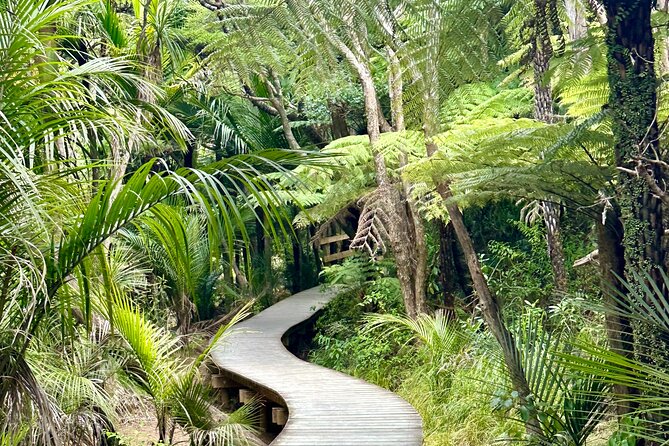 Private Piha Beach, Rainforest Adventure & Mt. Eden with Guide - Arataki Visitor Centre: Waitākere Ranges views with cultural context