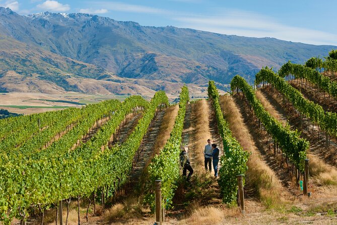 Private Queenstown Wine Tour All-Inclusive Tour - Getting Picked Up in Queenstown (and Why It Matters)