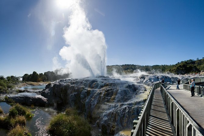 Private Rotorua Tour from Tauranga (Max 11) - Key Things That Make This Rotorua Day Click