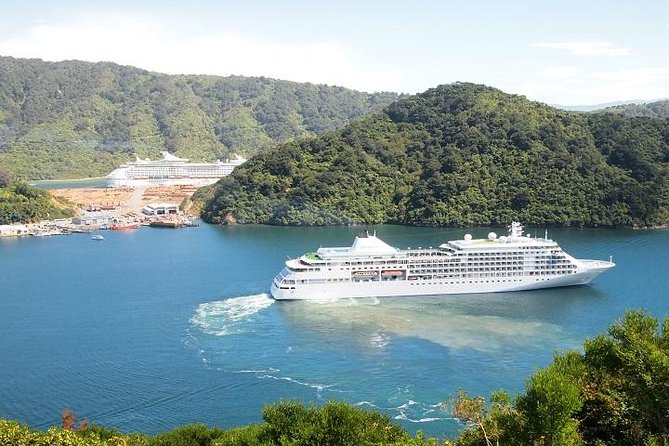 Private Shore Excursion: Explore Marlborough from Picton - How the Port Timing and Shuttle Works (So You Do Not Miss Your Ship)