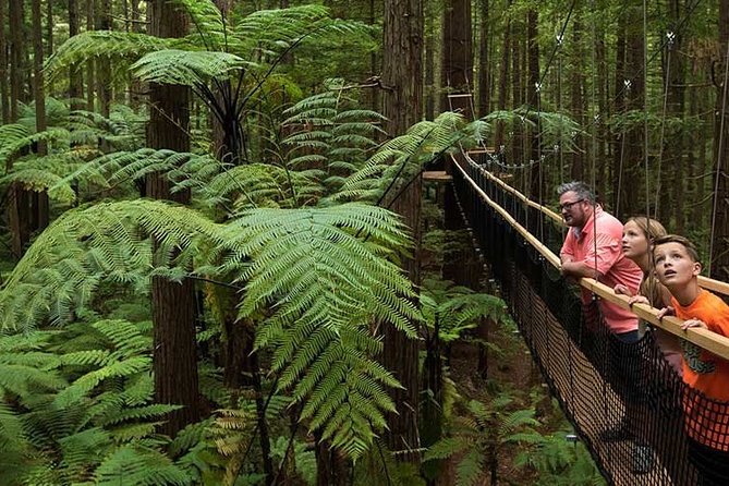 Private Tauranga Day Trip-Rotorua Geysers & Canopy Tree Walk. - Price and Logistics: Is $768 Per Group Worth It?