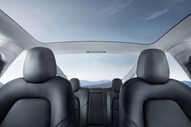 Private Tesla Transfer: Auckland, Tauranga, Rotorua, Taupo - Private Tesla Transfer Auckland, Tauranga, Rotorua, Taupo: The real value