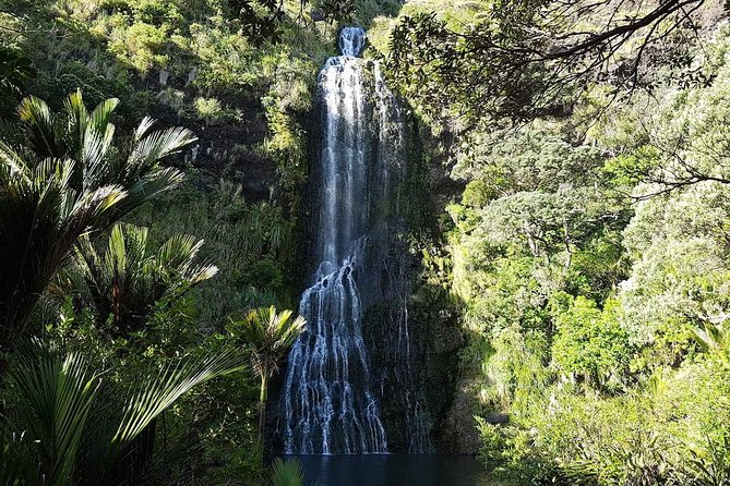 Private Tour: Auckland City and Countryside Tour - MJ Savage Memorial Park: History Walk Plus a Sense of Scale