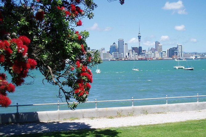 Private Tour: Auckland City and Countryside Tour - Mission Bay, Auckland Domain, and the Waterfall Moment