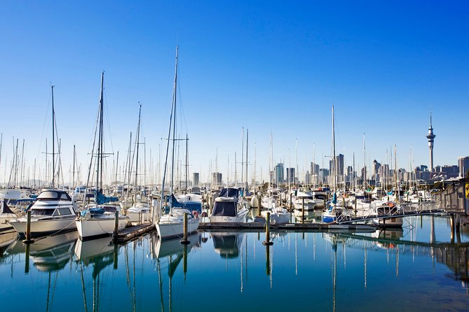 Private Tour: Auckland City and Countryside Tour - Vehicle Comfort and Guide Styles: How to Set Yourself Up for a Great Day