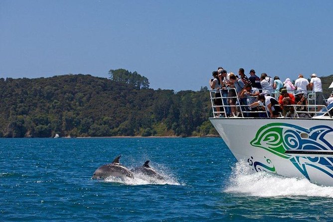 Private Tour: Bay of Islands Day Trip from Auckland - From Auckland Morning to Paihia Harbour in One Push
