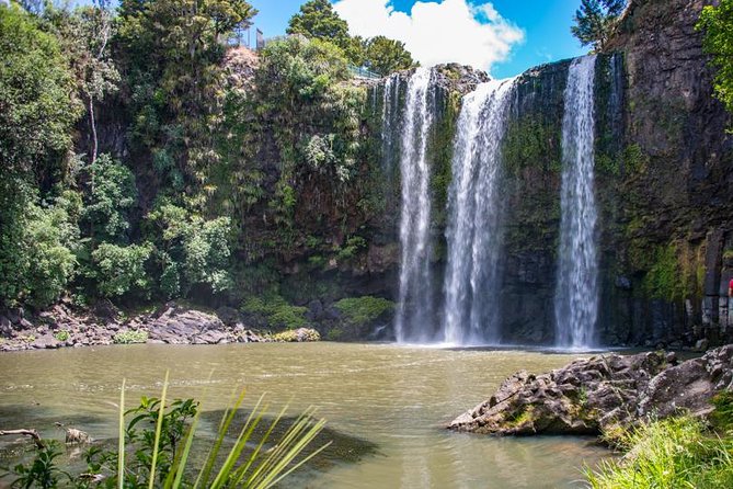 Private Tour: Bay of Islands Day Trip from Auckland - Price Breakdown: When NZ$578.99 Per Person Feels Reasonable