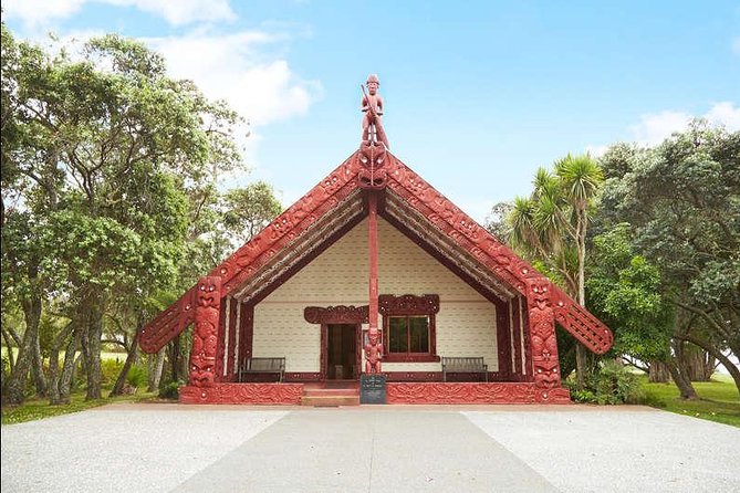 Private Tour: Bay of Islands Day Trip from Auckland - Parry Kauri Park: A Fast Walk Through North Island Giants