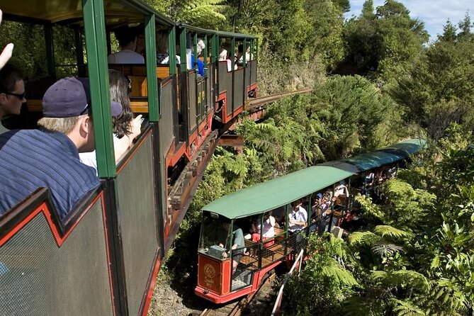 Private Tour - Coromandel Beach, Caves & Forest - Auckland Pickup at 6:00 am, Then the Coast Stays the Main Story