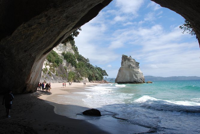 Private Tour - Coromandel Beach, Caves & Forest - Driving Creek Railway Through Kauri Forest and Out to Big Views