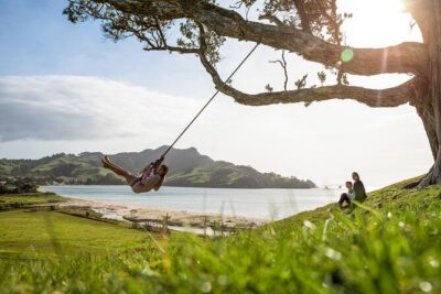 Private Tour – Coromandel Beach, Caves & Forest