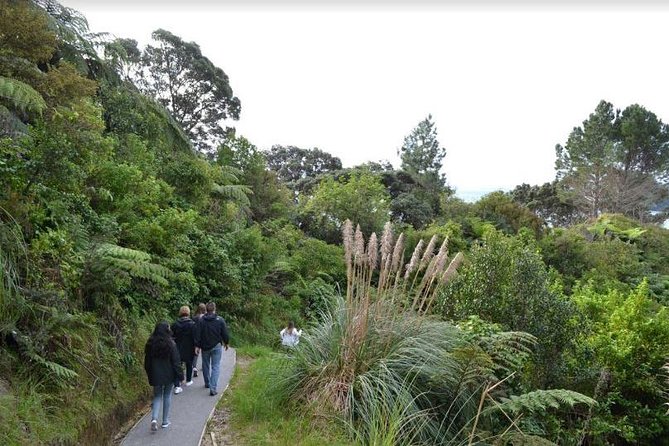 Private Tour - Coromandel Beach, Caves & Forest - Lunch, WiFi, Snacks, and Why Comfort Matters on a 12 Hour Day