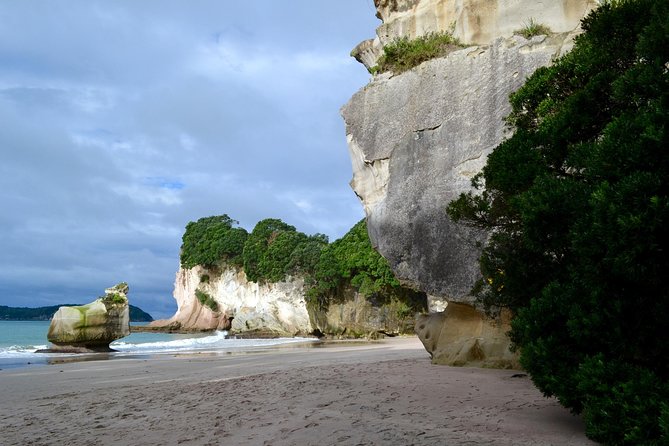 Private Tour - Coromandel Beach, Caves & Forest - Who This Tour Suits Best