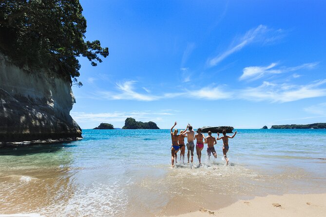 Private Tour - Coromandel Beach, Caves & Forest - Weather and Tides: The Two Things That Can Change Your Day