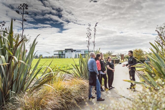 Private tour from Auckland - Waitomo Glowworm Caves, Zealong Tea & Kiwi Bird - Key points to know before you go
