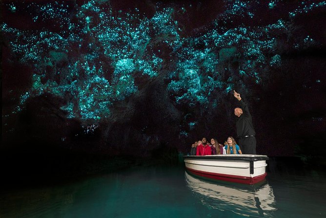 Private tour from Auckland - Waitomo Glowworm Caves, Zealong Tea & Kiwi Bird - Zealong Tea Estate: organic tea tasting with a New Zealand-only twist