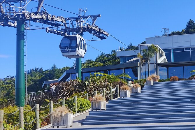 Private Tour: Hobbiton Movie Set, Rotorua Mud Pool & Treewalk - Should You Book This Hobbiton and Rotorua Private Day?