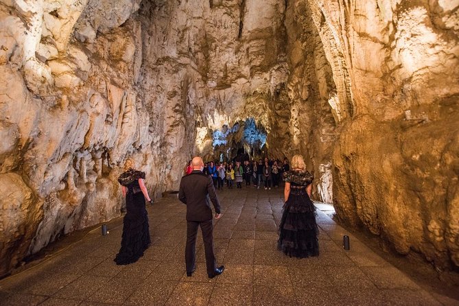 Private Tour: Hobbiton & Waitomo Glowworm Cave Experience - Hobbiton Movie Set: guided walk, hobbit holes, and Green Dragon Inn drinks