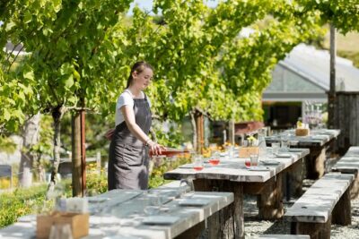 Private Tour – Horse Riding, Wine Tasting and Art Trail