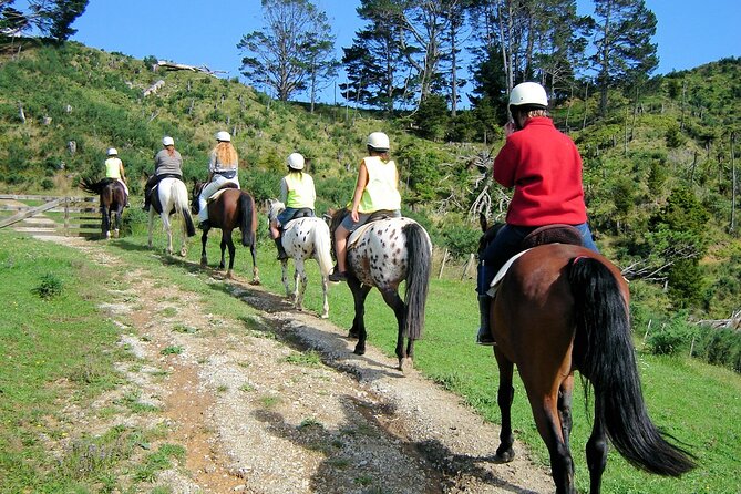 Private Tour - Horse Riding, Wine Tasting and Art Trail - Price and logistics: is $465.43 per person really good value?