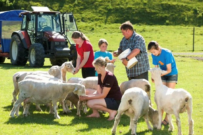 Private Tour - Rotorua Adventures Day Trip From Auckland - Agrodome Kiwi Farm and the Farmyard Nursery: baby animal time done right