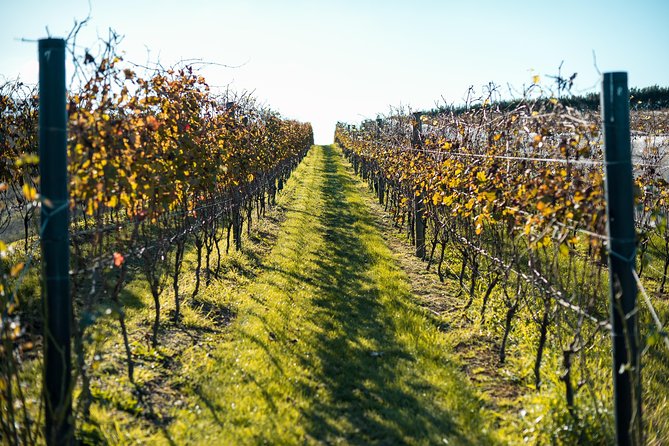 Private Tour - Waiheke Island Luxury Experience - Price and Value: What You’re Really Paying For at $617.47