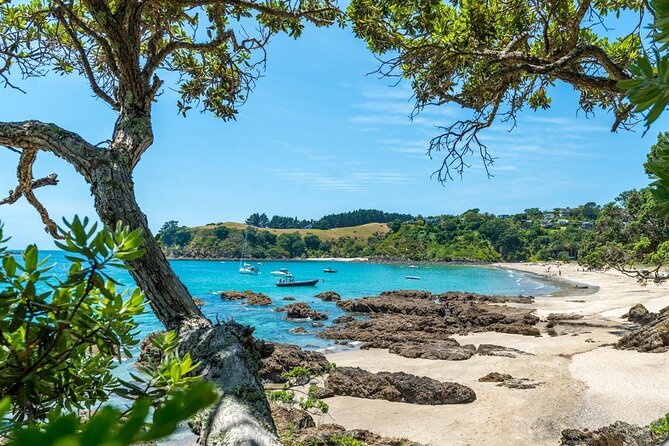 Private Tour - Waiheke Island Luxury Experience - On the Island: Vineyard Visits, Wine Tastings, and the Guide’s Role