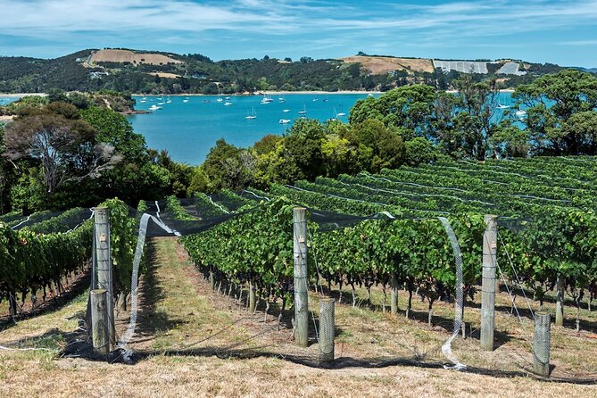 Private Tour - Waiheke Island Luxury Experience - How Long the Day Really Runs (and How to Plan Your Energy)