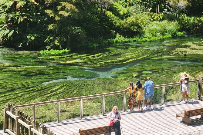Private Tour WaiOtapu & Huka Falls & Blue springs from Auckland - How a private Auckland-to-Taupo route saves you time