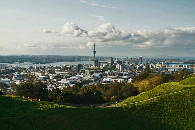 Private Tour: Waitomo Caves Day Trip from Auckland - The 7:30 am start and the drive: set yourself up for a calm day