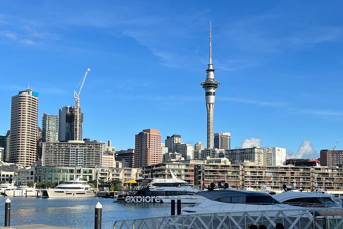 Private Transfer From Auckland Airport To Rotorua - Should You Book Shine Shuttle for Auckland Airport to Rotorua?